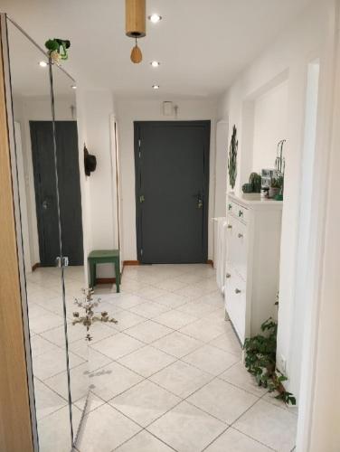 Strasbourg Centre Historique 15 mn en Tram et Aéroport Parking gratuit (Strasbourg Centre Historique 15 mn en Tram et Aeroport Parking gratuit) in Lingolsheim