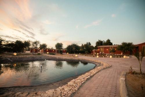 Sokoon in บอร์ก เอล อาหรับ