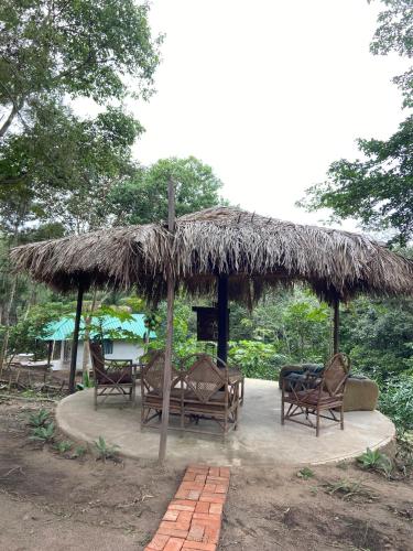 Magic Tree in La Guardia