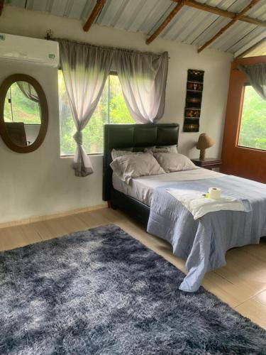 Magic Tree in La Guardia