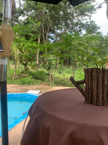 Magic Tree in La Guardia