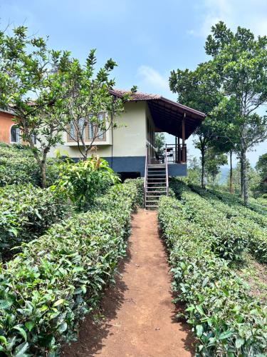 Heritage Farms Mountain Eco Retreat in Idukki