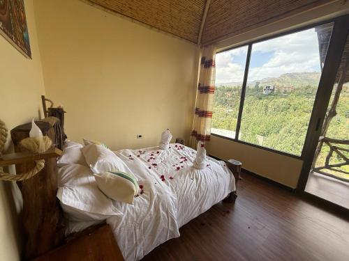 Single Room with Mountain View image 4