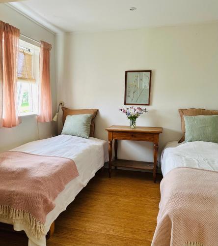 Camønogaarden B&B, darksky cabins and events