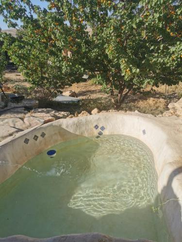 כרם שיזף in 米茨佩拉蒙