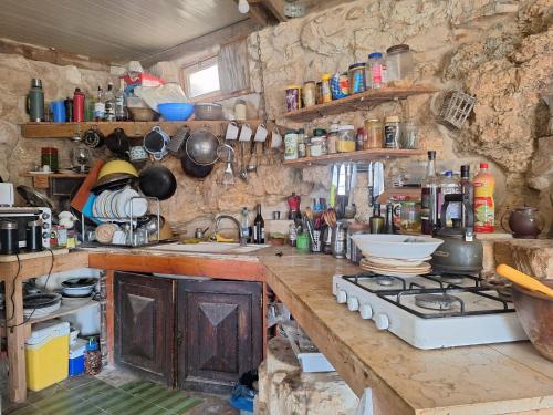 כרם שיזף in 米茨佩拉蒙