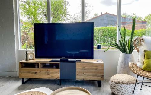 The Kingfisher near beach and dunes Hargen and Schoorl in Шаген