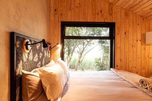 Modern Cabin - Pineapple in Malkerns