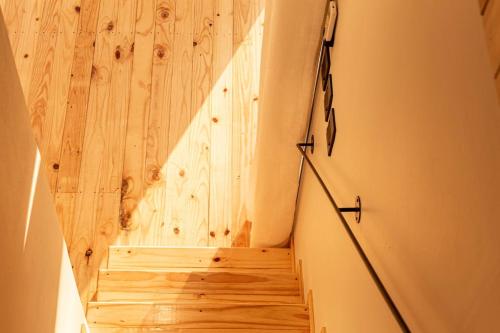 Modern Cabin - Pineapple in Malkerns