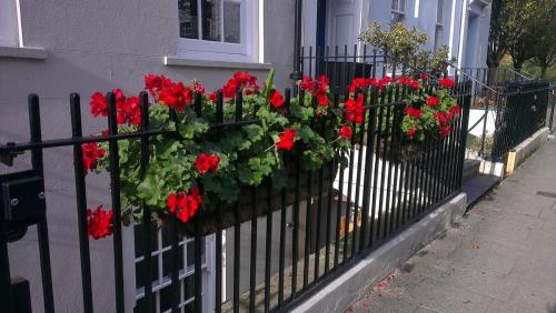 Below Deck By Pureserviced