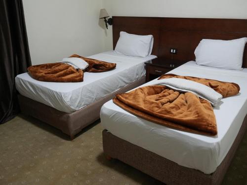 Deluxe Twin Room image 2