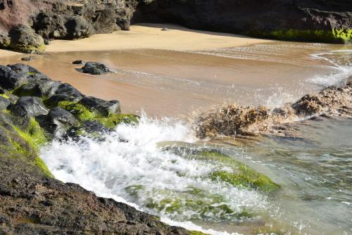 Charming Blue - image 5