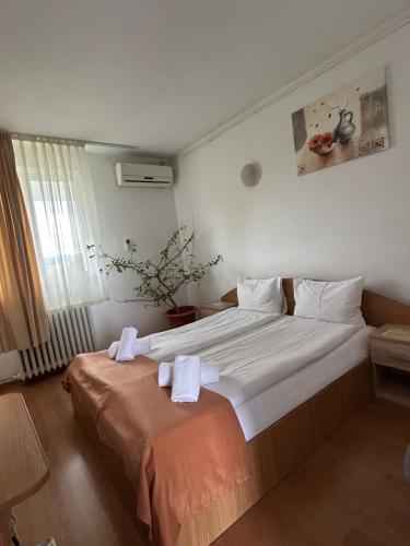 1 twin bed