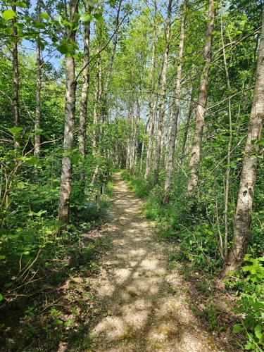 Silver Birch Nabb Lane Woods Hot tub near Alton Towers in Croxden