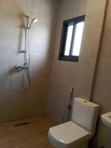 One-Bedroom Apartment image 10
