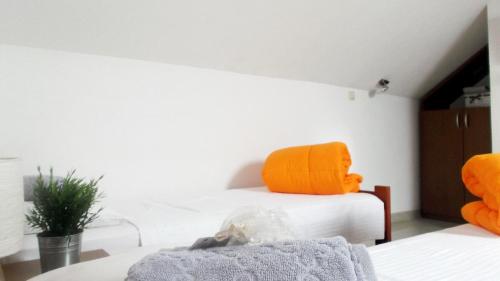 Quadruple Room image 1