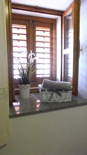 Twin Room image 8