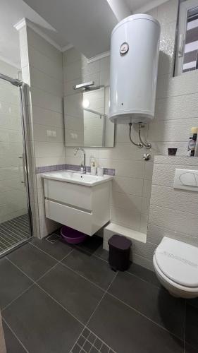 Lilikoi Apartment - image 9