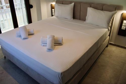 One-Bedroom House image 4