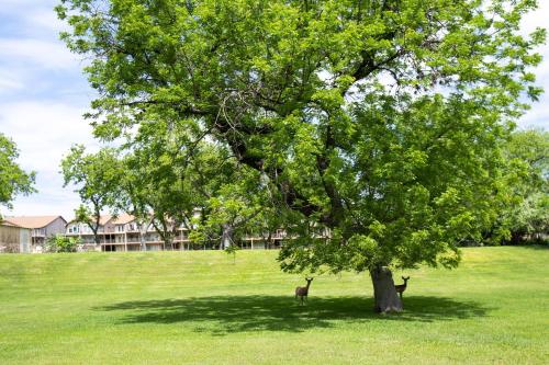 5 O Clock Somewhere WW H302 - image 2