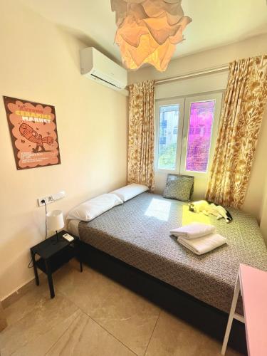 A Tiny Bright Space - Shared home with 3 cats, Malaga (zdjęcie 10)