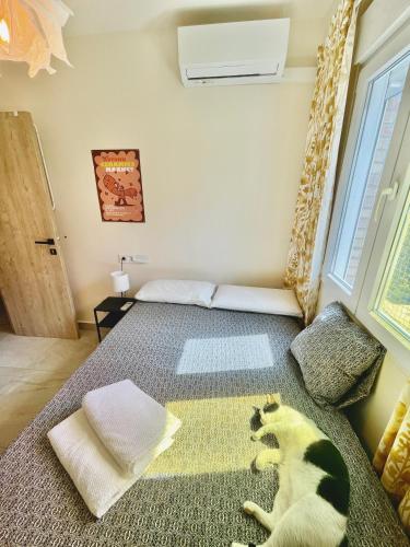 A Tiny Bright Space - Shared home with 3 cats, Malaga (zdjęcie 3)