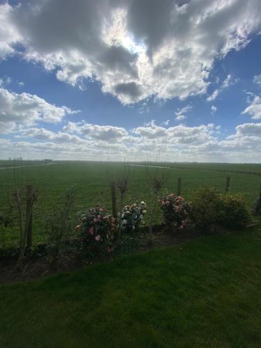 Geniet van de rust en de ruimte in Bodegraven