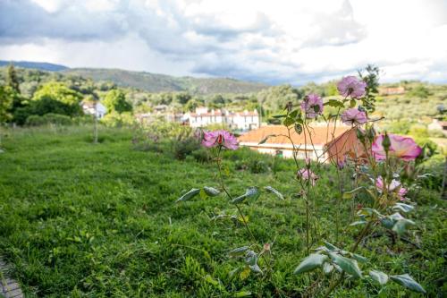 Perla Vera - Country Modern Apartment in Villanueva De La Vera