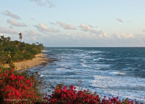 Ocean Terrace