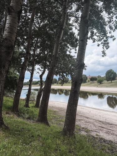 Sobri Halászcsárda és Panzió - main image