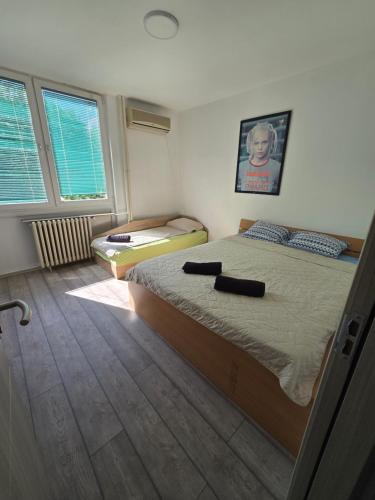 City Center Apt W Free P, Skopje (foto 4)