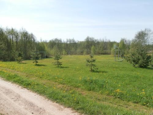 Stārķis, Daugavpils (foto 10)
