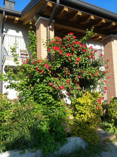 B&B Marostica - image 8