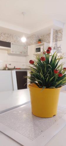 Wyposażenie, Gala Temporarios Dptos Rosario Centro in Bella Vista