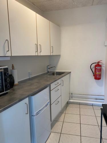 Apartment #1 with Wifi, close to city center, Beach and forrest, Aabenraa (fotografie 9)