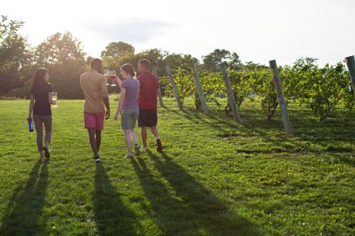 Holiday Inn Niagara Falls-Scenic Downtown an IHG Hotel - image 6