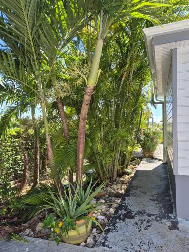 Garden, Villa Cosy ! NEW ! in Saint Francois