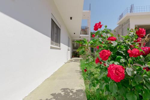 Medo, Ulcinj (fotografie 8)