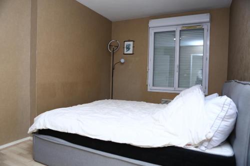 Appartement T2 Confortable à Lyon, Lyon (fotografie 4)