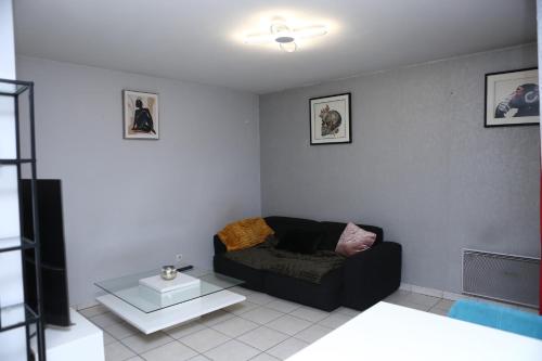Appartement T2 Confortable à Lyon, Lyon (fotografie 6)