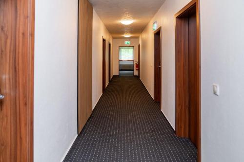 Damhirsch in Hildesheimas