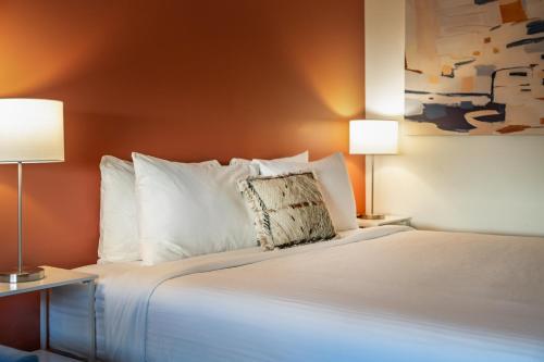 King Room, Pet Friendly