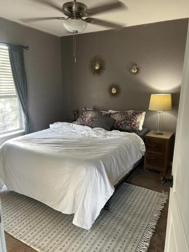Quaint & Vivacious Room-Queen in Kyle (TX)