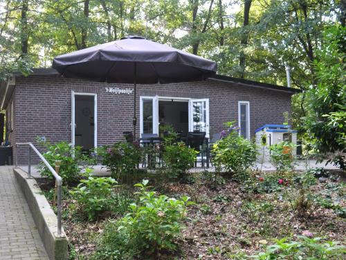 Cottage in Leenderstrijp near Nature Reserve, Leende (fotografie 8)