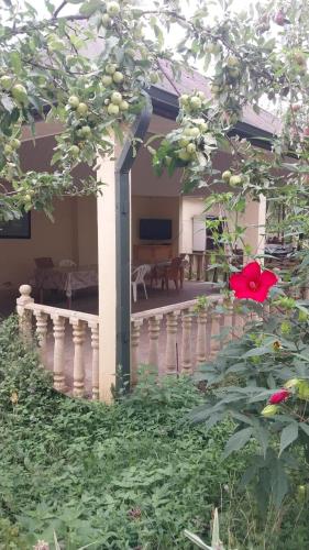 Qecres Bag Evi Villa