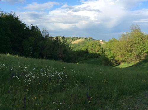 B&B Villa Rossana 4