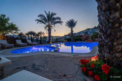 花園, Dar Echchaouen Maison d'Hôtes & Riad (Dar Echchaouen Maison d'Hotes & Riad) in 舍夫沙萬