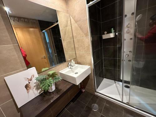 Modern apartment Near city center, Airport, Metro, Madrid (foto 10)