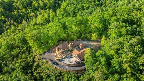 Mountain View Mansion - image 14