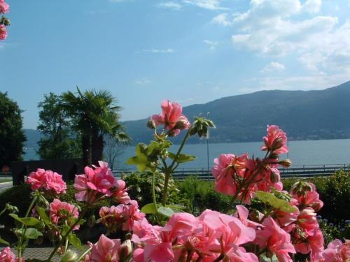  Residence Tre Ponti, Verbania bei Alpe Busarasca